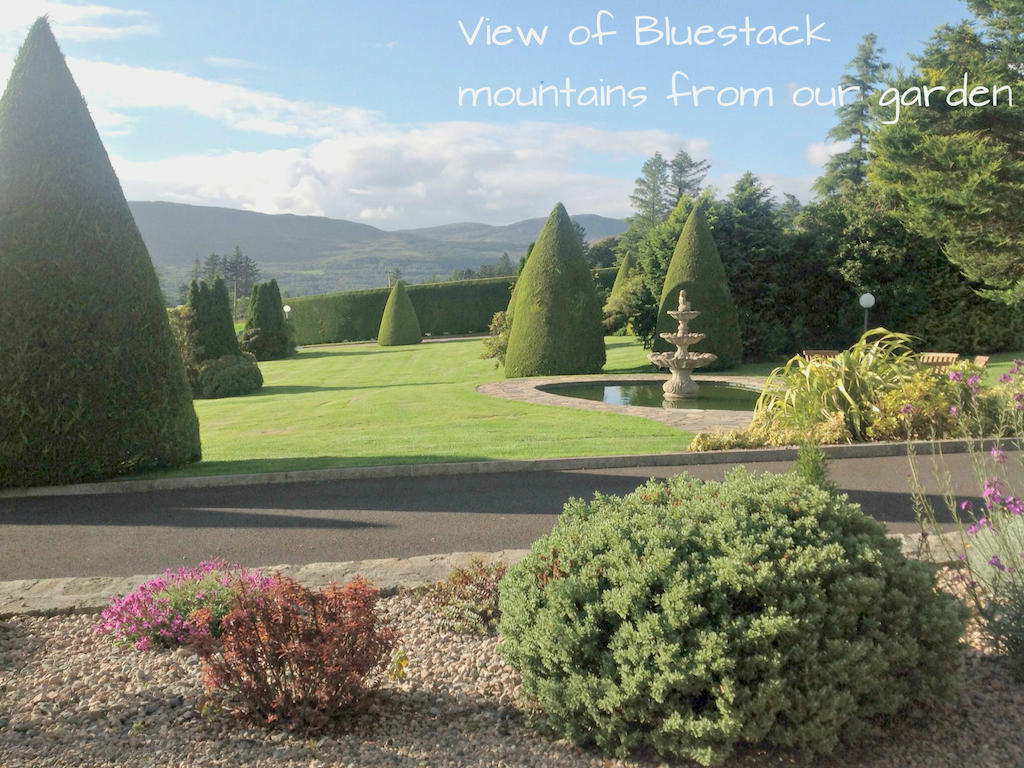 Arches Country House Donegal Town Extérieur photo